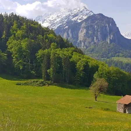 Ufem Egg By Interhome * Innertkirchen