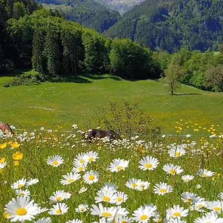 度假居 Ufem Egg By Interhome 茵诺科琴