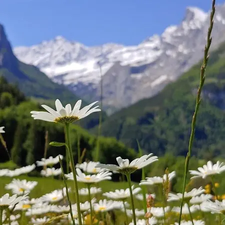 度假居 Ufem Egg By Interhome *