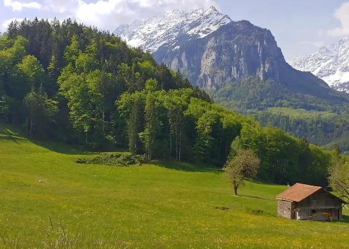 Ufem Egg By Interhome * Innertkirchen