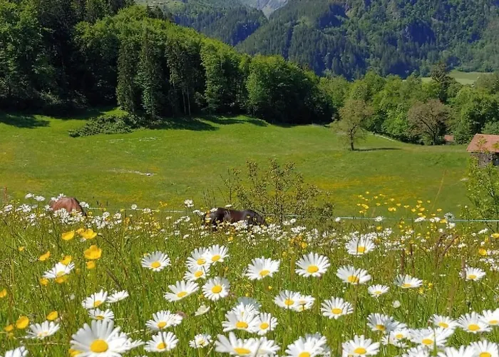 Casa de Férias Ufem Egg By Interhome Innertkirchen