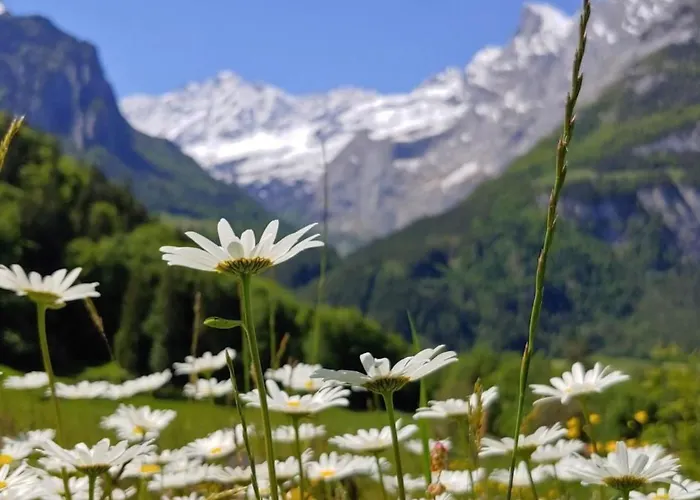 بيت للعطل Ufem Egg By Interhome *